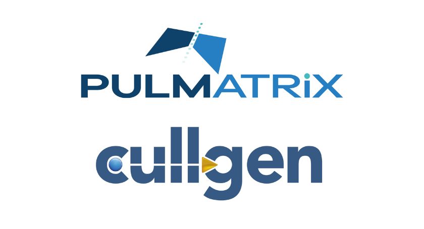 Pulmatrix and Cullgen Terminate Merger Agreement